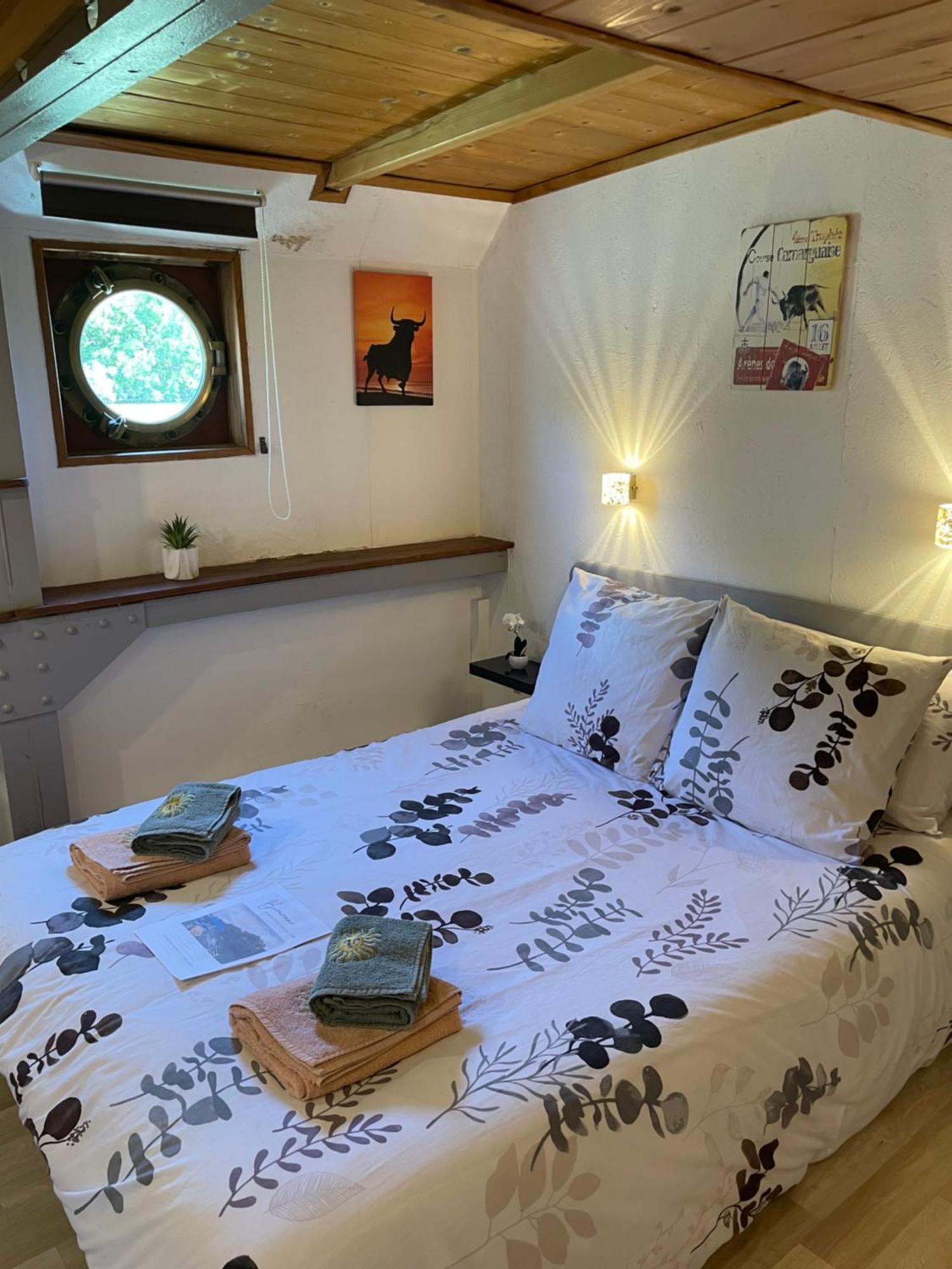 Péniche Le Pescalune - Chambre d'hôtes Arlés Exterior foto